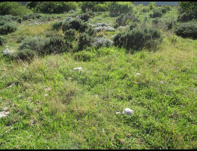 LAND FOR SALE IN DANA BAY